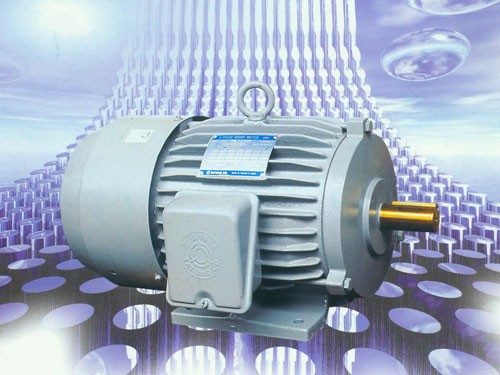 tds-v8-f8选用大同正品大同安全刹车马达1/2HP 4P卧式热卖TATUNG