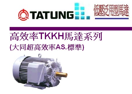 大同TATUNG高压马达大同马达系列150KW-2000KW耐高压耐高温电机