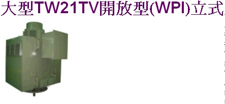 联崴公司官方网站提供大同电机(马达)产品尺寸